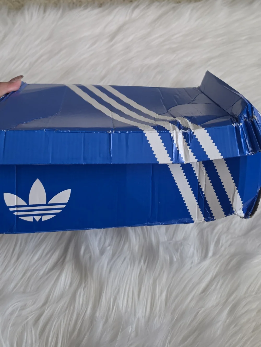 Adidas Samba JP